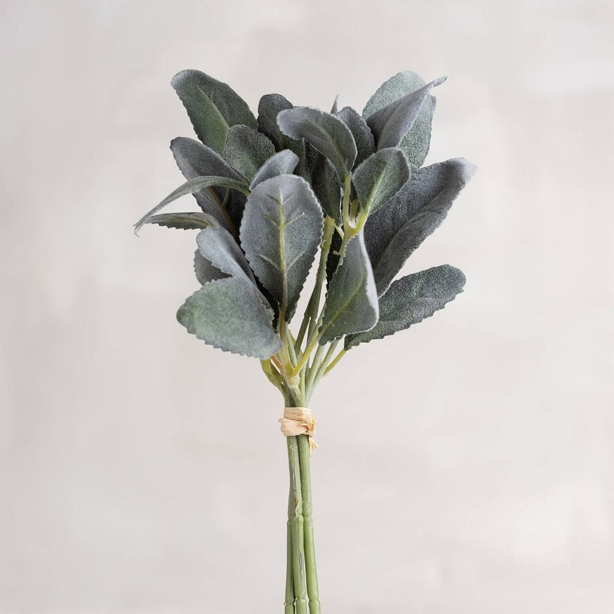 Lamb's Ear Bouquet Linabella