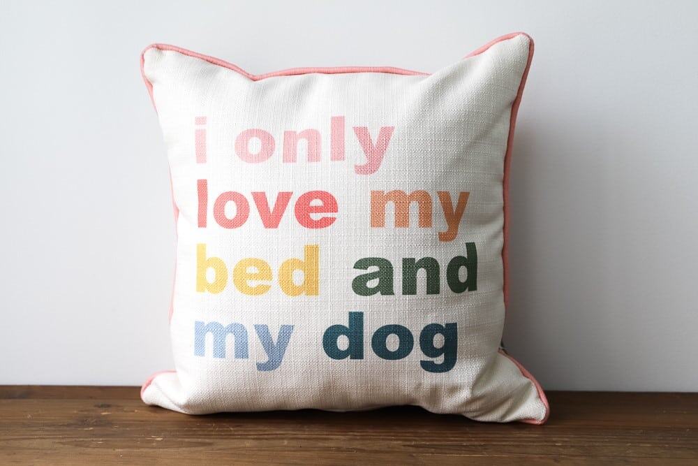 Love My Dog Pillow 1 Love My Dog Pillow