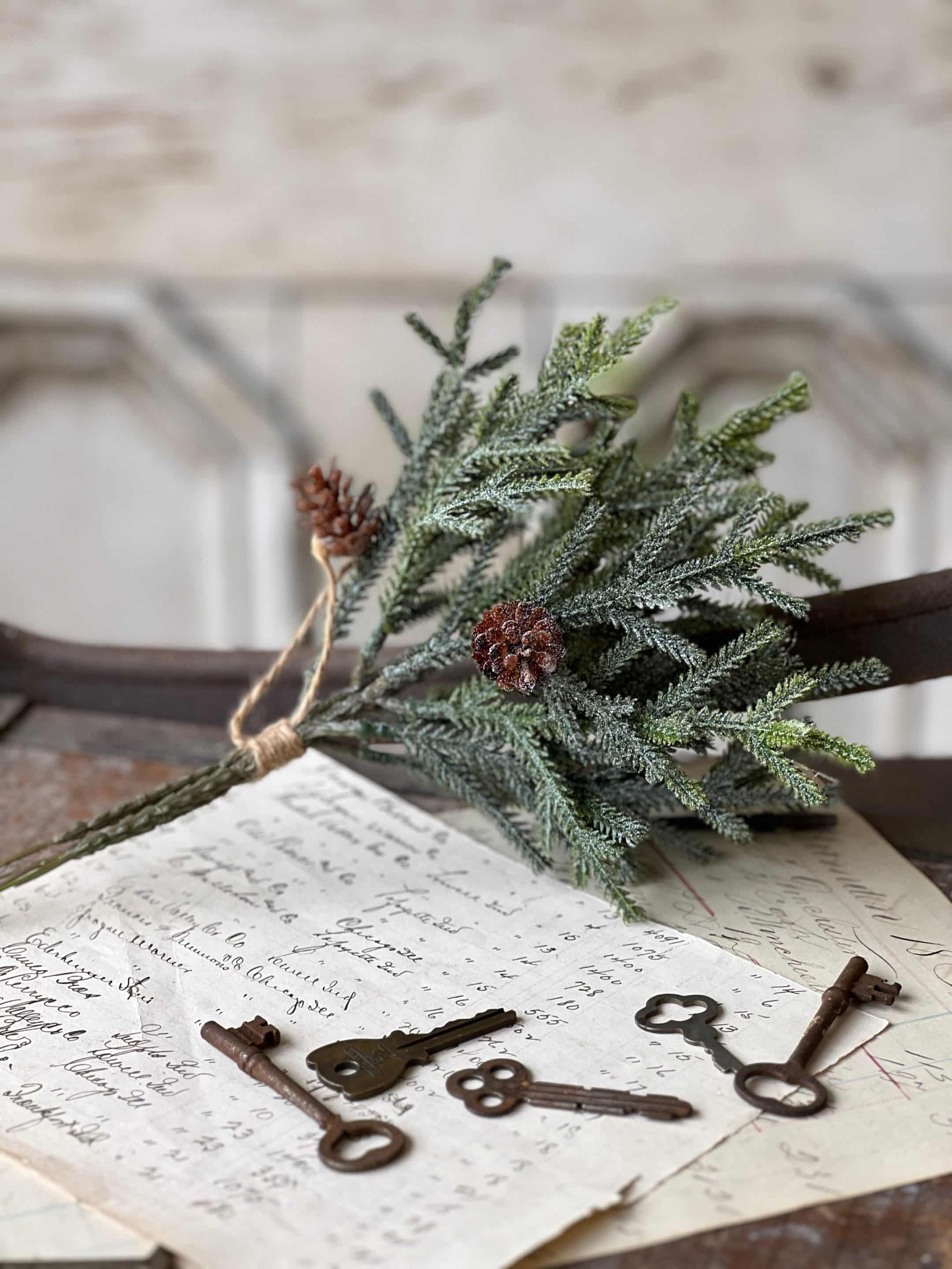 Frosted Juniper Bundle 1 Frosted Juniper Bundle