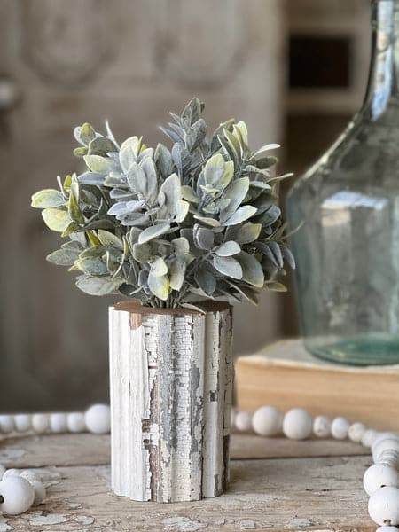 Cape Bay Pick 1 Cape Bay Pick — 642668476324