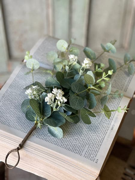 Sweet Eucalyptus Hanging 1 Sweet Eucalyptus Hanging — 642668522304