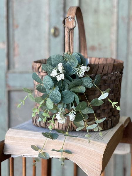 Sweet Eucalyptus Hanging 2 Sweet Eucalyptus Hanging — 642668522304 - Image 2