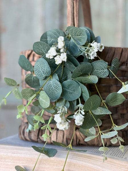 Sweet Eucalyptus Hanging 3 Sweet Eucalyptus Hanging — 642668522304 - Image 3