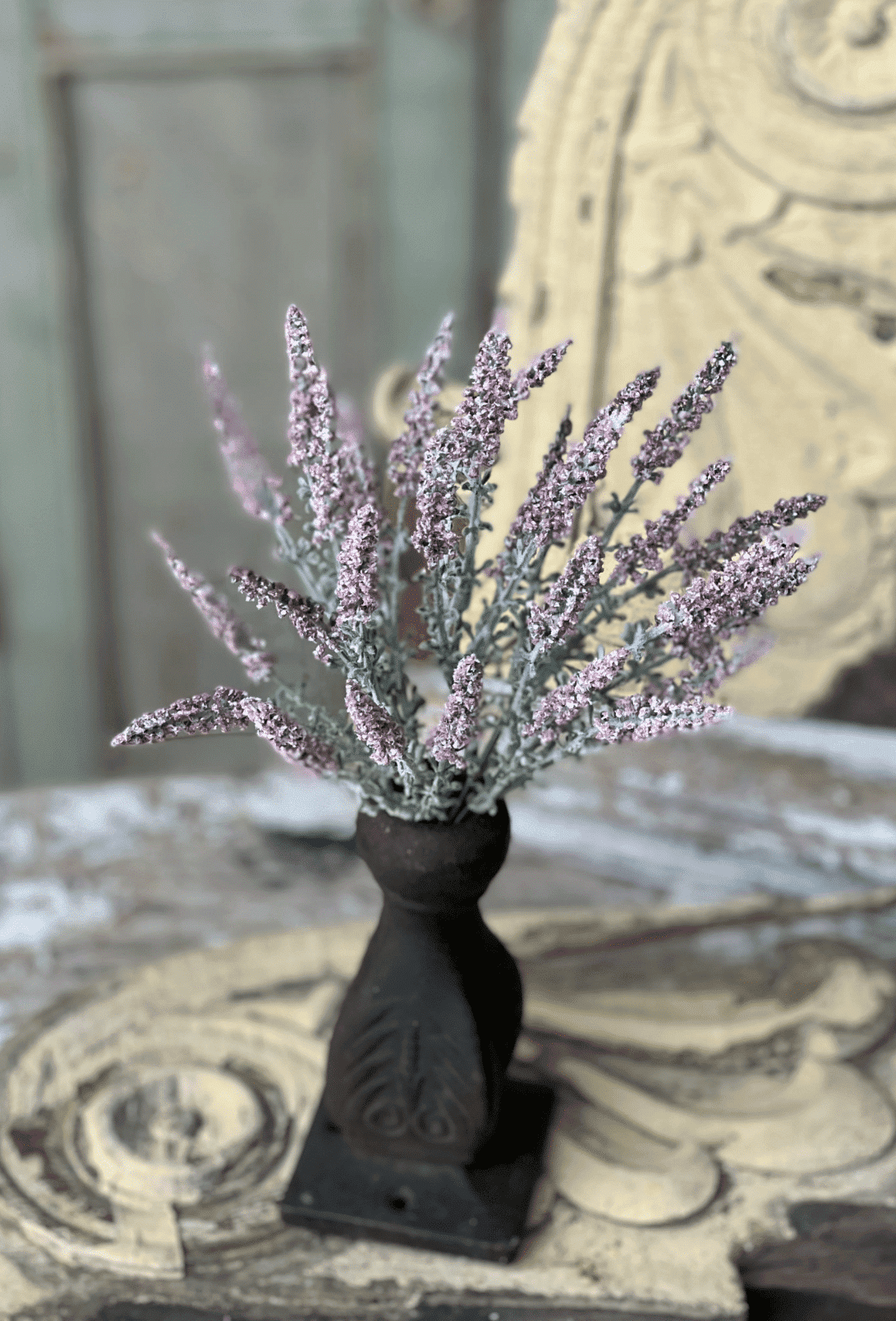 Pink Bigsby Bush 2 Pink Bigsby Bush — 55081 - Image 2