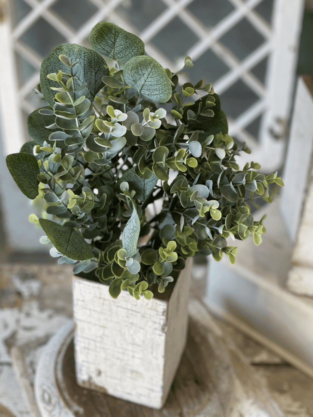 Enclave Eucalyptus Bush 1 Enclave Eucalyptus Bush — 642668505727